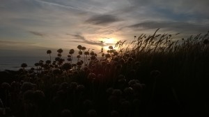 Croyde Beach at Sunset and Wild Grasses
