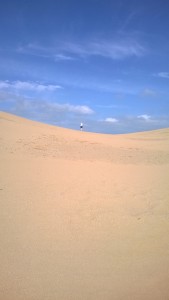 Sahara Desert in Braunton