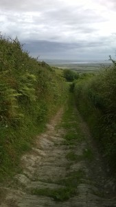 Braunton To Croyde Walk from the Gallery Lodges