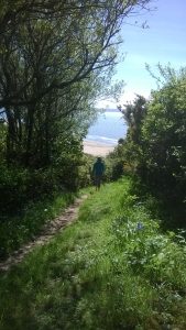Down through the woods to Saunton sands