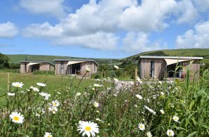 The Gallery Lodges in the Hay Meadow